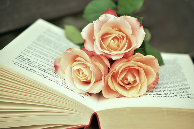 E-Reader