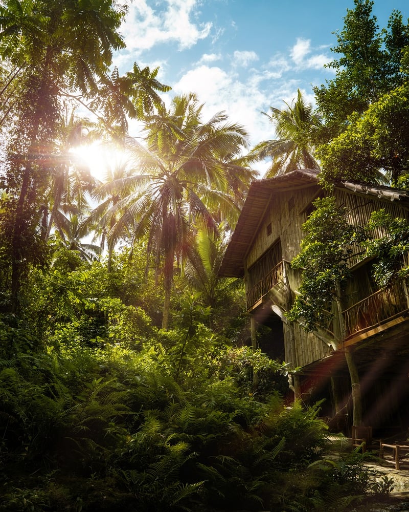 Treehouse Retreat